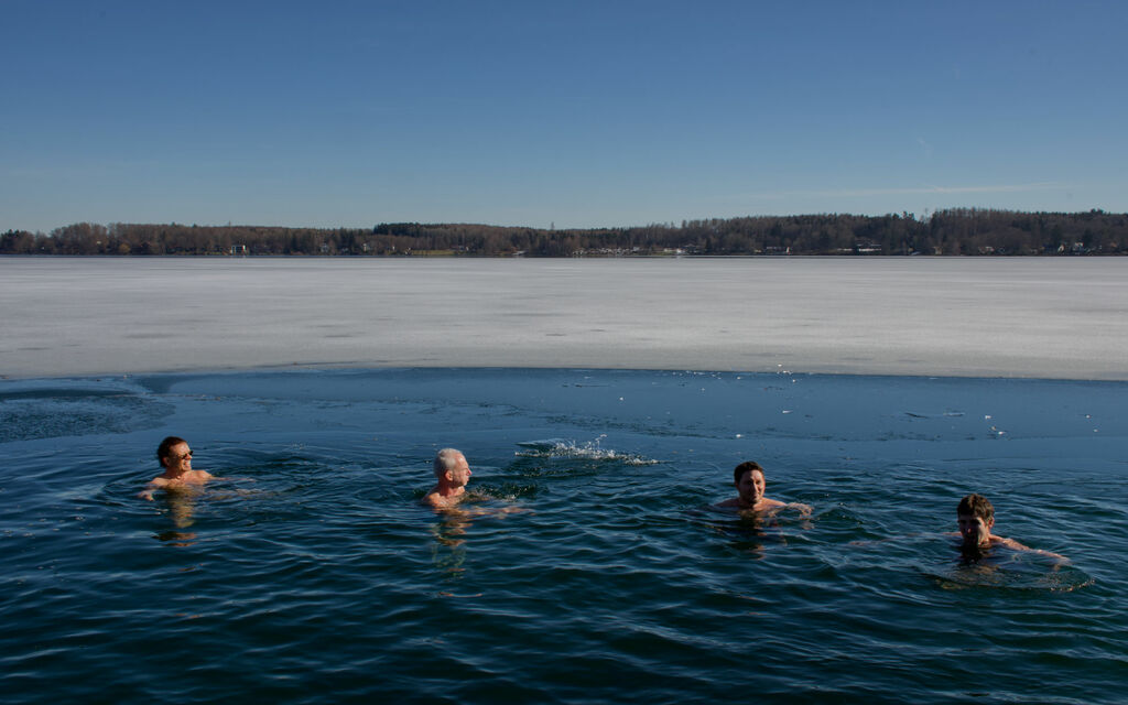 Ice swimming at Wörthsee The winter swimmers swimming in the Wörthsee