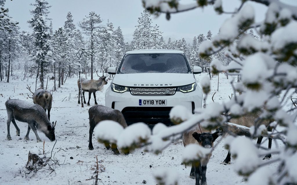 Reindeer experience in Sweden Land Rover Discovery in snowy landscape with reindeers