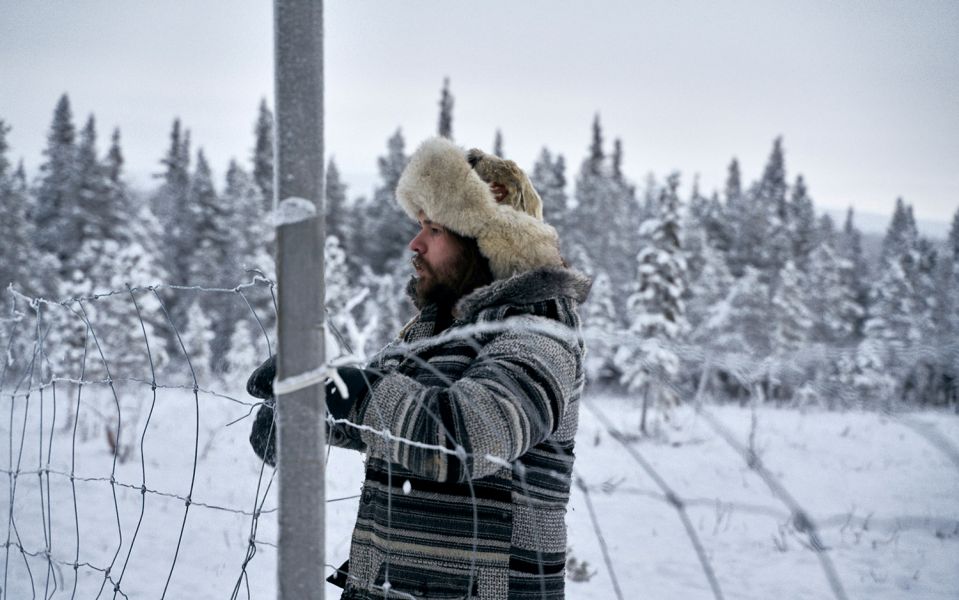 Reindeer experience in Sweden Reindeer farmer Nika at the fence of the enclosure