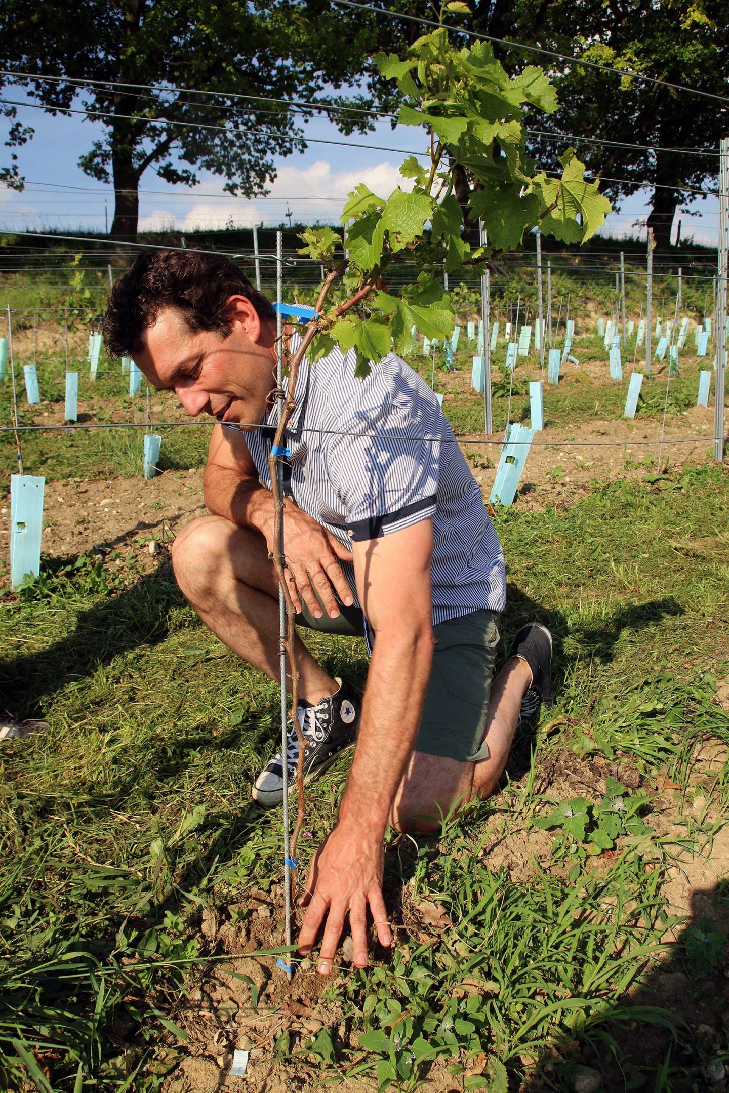 Winegrowing at Lake Ammersee: Interview with winemaker Uli Ernst Winemaker Uli Ernst kneels on meadow in his wine growing area at Lake Ammersee